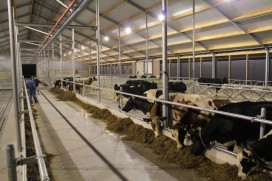Maak kennis met IJsboerderij Bonestroo