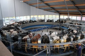 Maak kennis met IJsboerderij Bonestroo