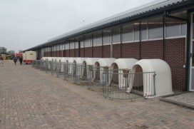 Maak kennis met IJsboerderij Bonestroo