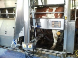 Maak kennis met Zuivelboerderij Wikkerink