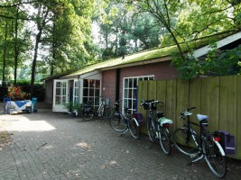 Maak kennis met Galerie Aly Schutte