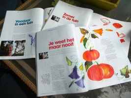 Maak kennis met Galerie Aly Schutte