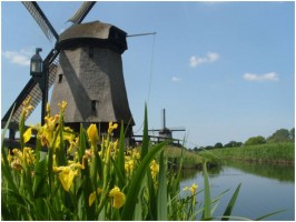 Maak kennis met Rustpunt De Museummolen