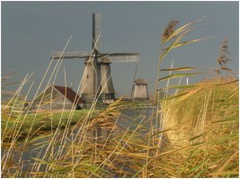 Maak kennis met Rustpunt De Museummolen
