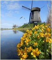 Maak kennis met Rustpunt De Museummolen