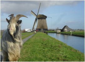 Maak kennis met Rustpunt De Museummolen