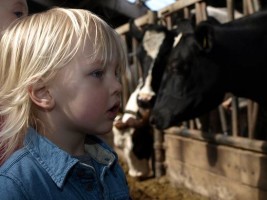 Proef en Beleef bij de Twentse Boerin