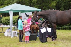 DE WOESTE PINKSTERFAIR