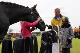 DE WOESTE PINKSTERFAIR