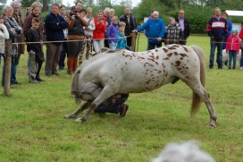 DE WOESTE PINKSTERFAIR