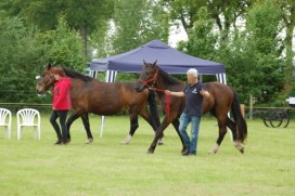 DE WOESTE PINKSTERFAIR