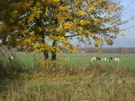 Boerenlandfietstocht en Boerenpannenkoekenfeest