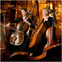 Concert (Zuurdijk)
