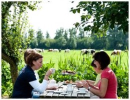 Zomeractiviteiten bij de Twentse Boerin